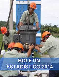 Boletín Estadísticos 2014