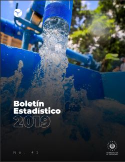 Boletín Estadísticos 2019