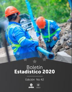 Boletín Estadísticos 2020